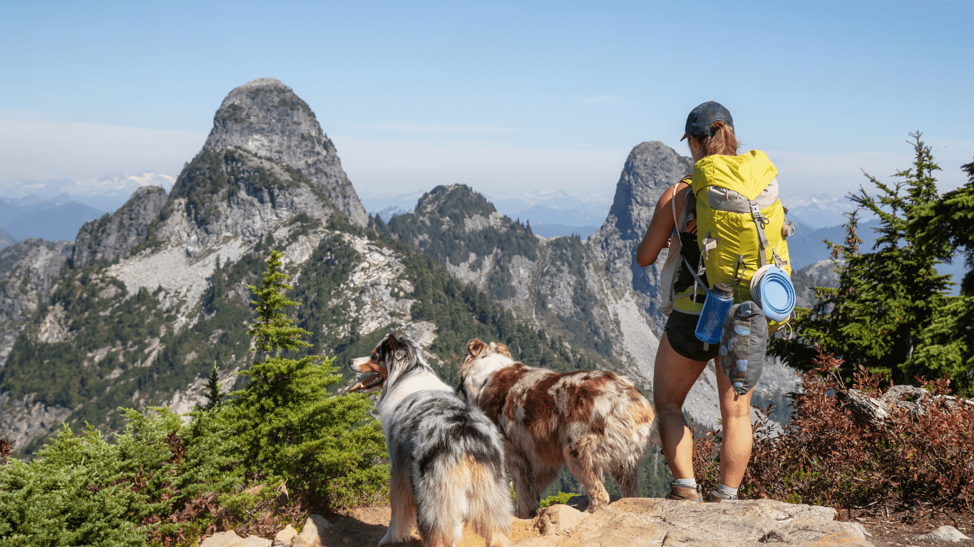 Uitzicht op bergtoppen met twee Australian Shepards