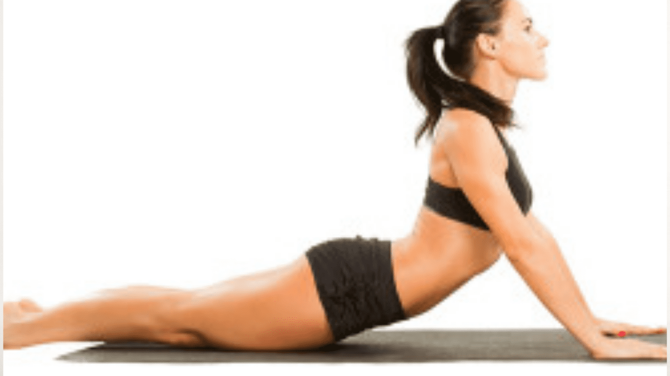 Seal Yin Yoga